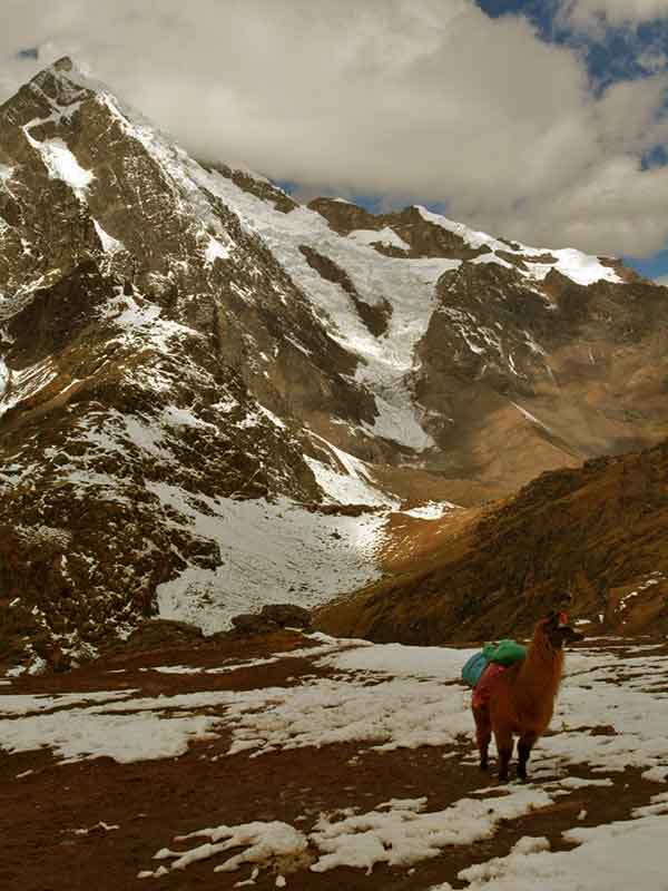 Tour Lares Trek a Machu Picchu 4 Dias - 2026 5 Lares Trek to Machu Picchu